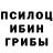 Галлюциногенные грибы Psilocybe KiranTheSecond