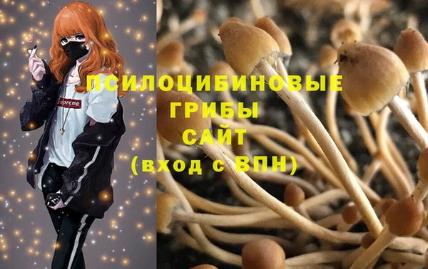 ПСИЛОЦИБИНОВЫЕ ГРИБЫ Баксан
