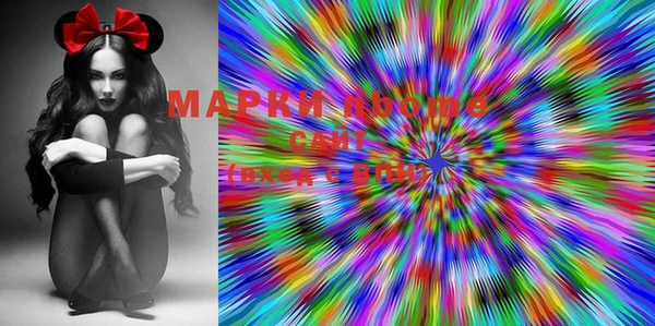 ПСИЛОЦИБИНОВЫЕ ГРИБЫ Баксан