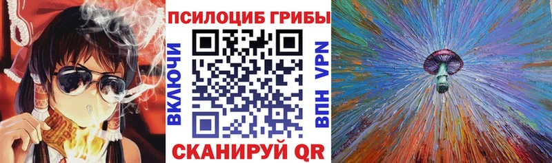 OMG   Озёры  Галлюциногенные грибы Psilocybine cubensis 